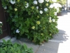 20140528_120806